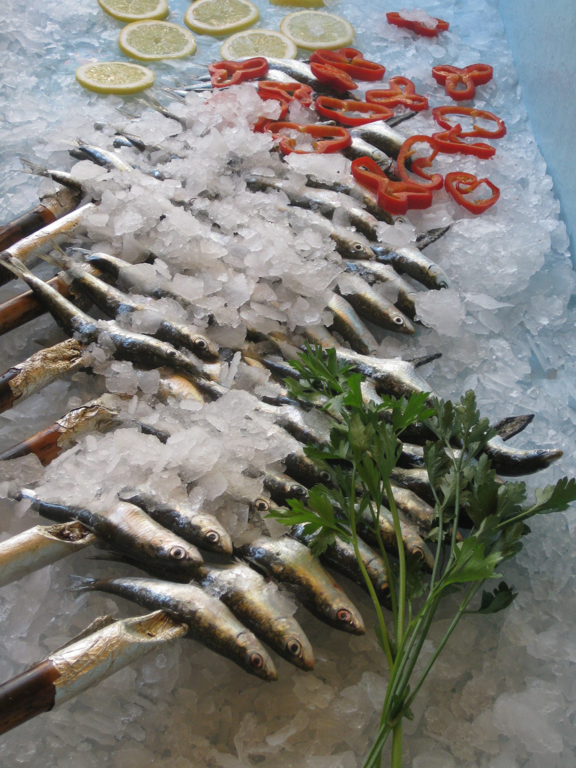 foto-espetos-empalados-para-restaurante-katena-en-motril Foto Espetos Empalados Restaurante Katena en Motril (Granada)