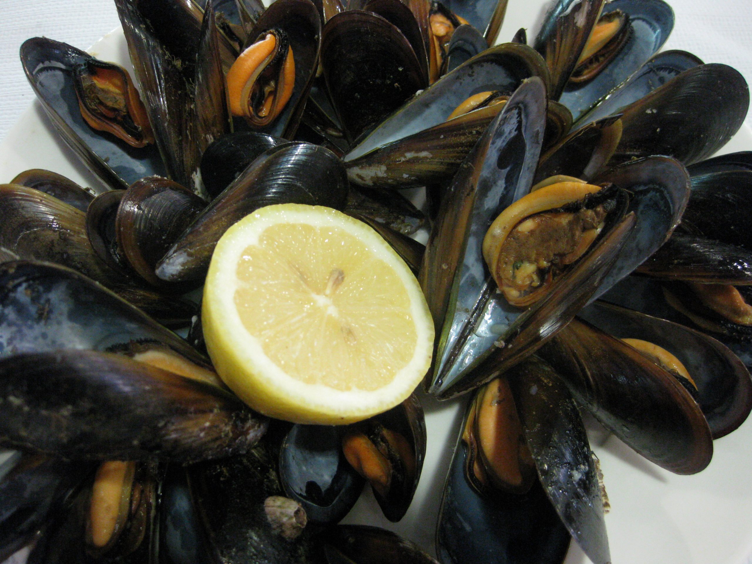 Foto de Mejillones y Limon para Restaurante Katena en Motril (Granada)